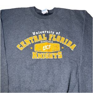 Champion Men's Large UCF Knights Gray‎ Pullover Crewneck Sweatshirt Y2K VtG EUC